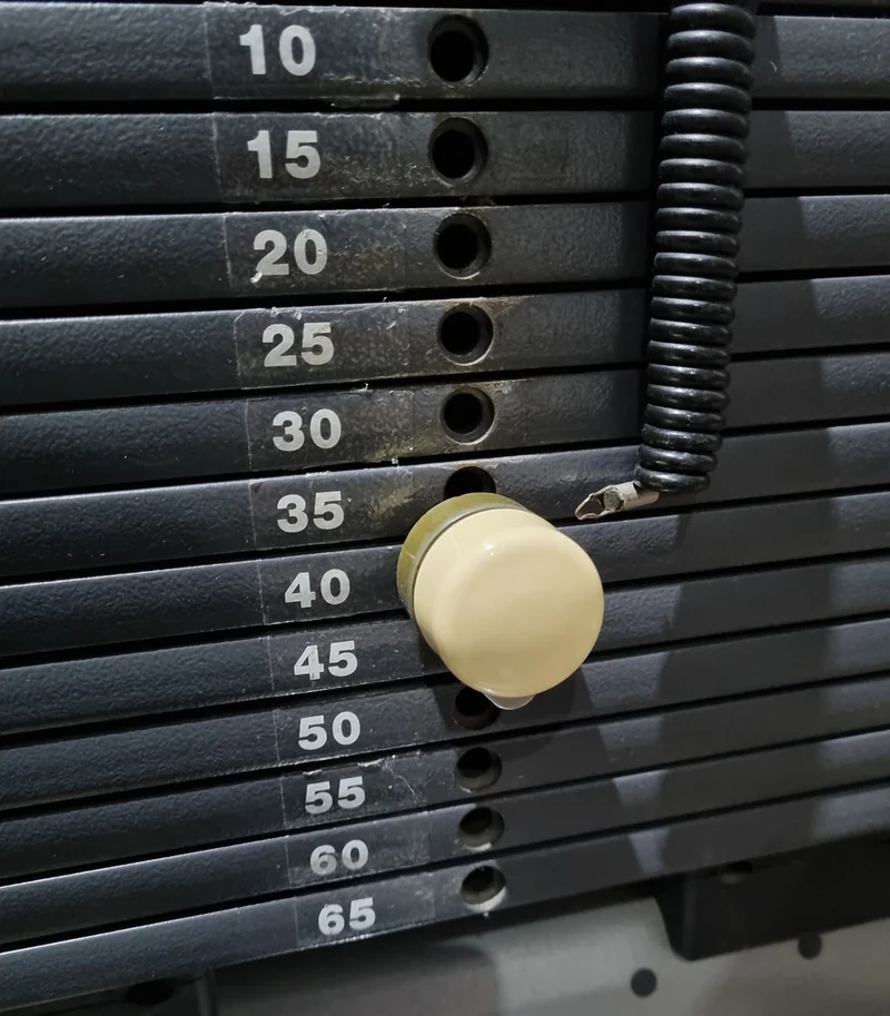 TechnoGym Schulterpresse, Shoulder Press, Selection Line - Rahmen Silber, Polster Braun, gebraucht - überholter Zustand