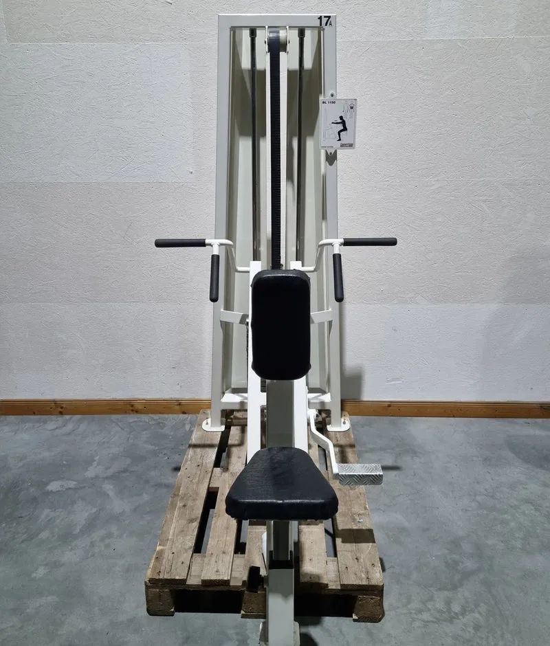 Competition Line, Rudern mit Bruststütze und Einstiegshilfe, Row, Lat-Rudern, Rahmenfarbe Weiß, gebraucht - überholter Zustand