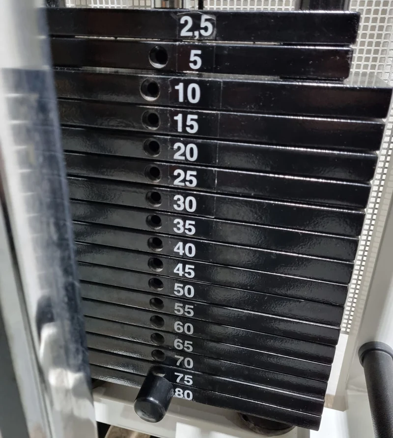 Technogym Ercoline Rehab, Kabelzug höhenverstellbar, Seilzug, Zugapparat 80kg, Rahmenfarbe Weiß, gebraucht - überholter Zustand