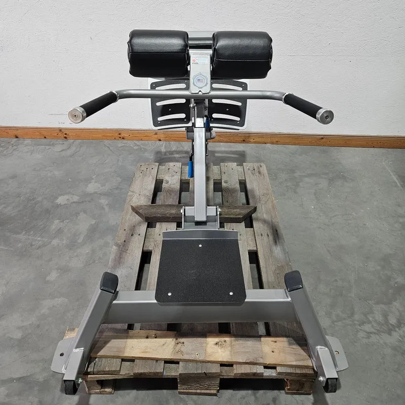 Nautilus Nitro Hyperextension, Rückenstreckerbank, 45° verstellbar, Adjustable Hip Extension F3AHE, Rahmenfarbe Silber, gebraucht - überholter Zustand
