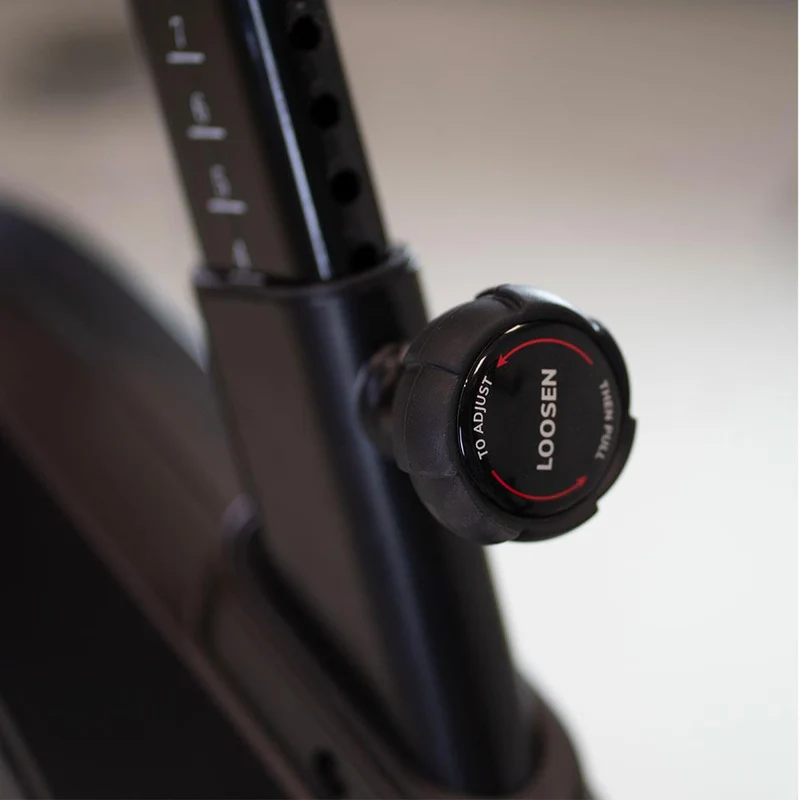 BH Fitness Indoor Cycle Xcalibur EMS