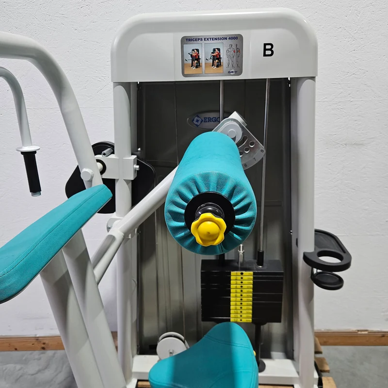 Ergo-Fit Trizepsmaschine horizontal, Triceps Extension, Armstrecker, 4000 Serie, Rahmenfarbe Weiß, gebraucht - überholter Zustand