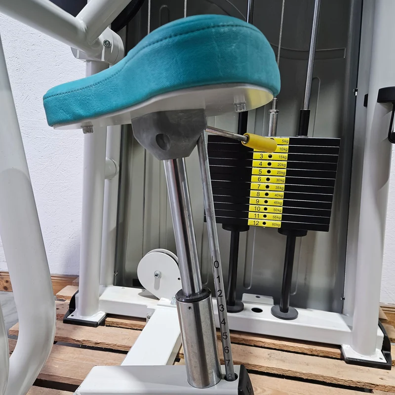 Ergo-Fit Trizepsmaschine horizontal, Triceps Extension, Armstrecker, 4000 Serie, Rahmenfarbe Weiß, gebraucht - überholter Zustand