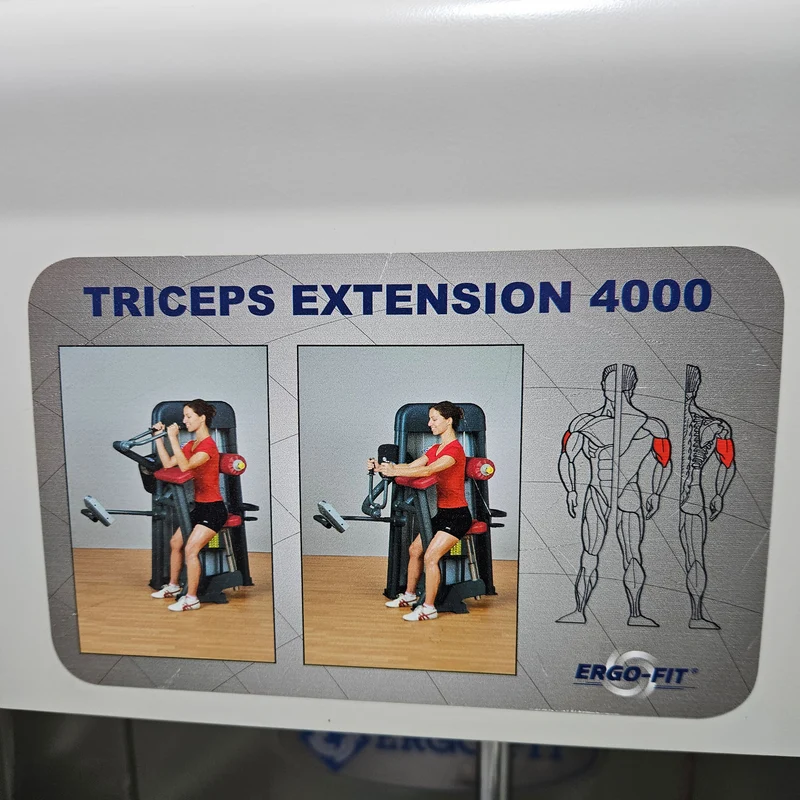 Ergo-Fit Trizepsmaschine horizontal, Triceps Extension, Armstrecker, 4000 Serie, Rahmenfarbe Weiß, gebraucht - überholter Zustand