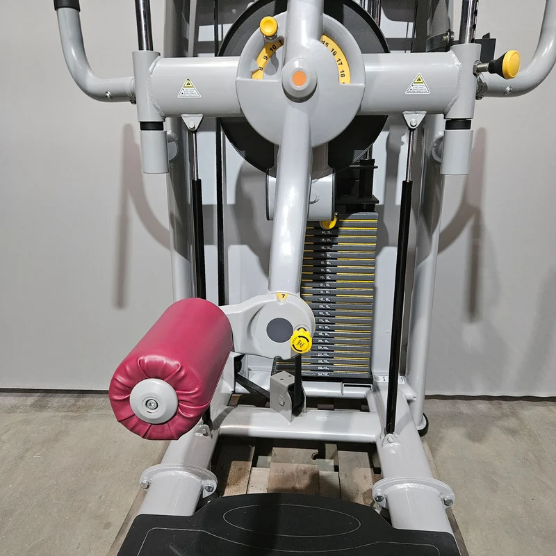 Sportsart Total Hip S961 A961 N961, Multi Hip, Hüftpendel, Kickmaschine, Rahmenfarbe Silber, gebraucht - überholter Zustand
