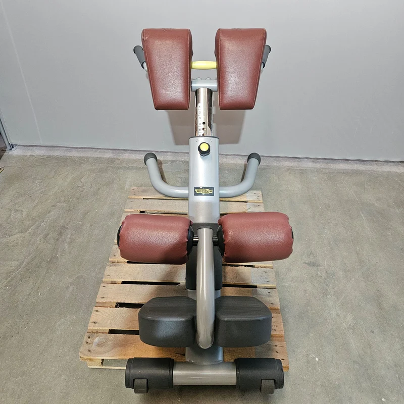 Technogym 2er Set Lower Back Bench und Abdominal Bench - Hyperextension Rückenstreckerbank und verstellbare Bauchbank, Rahmen Silber, gebraucht - überholter Zustand