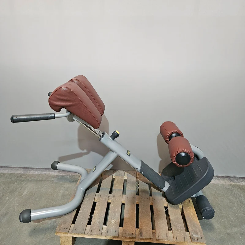 Technogym 2er Set Lower Back Bench und Abdominal Bench - Hyperextension Rückenstreckerbank und verstellbare Bauchbank, Rahmen Silber, gebraucht - überholter Zustand