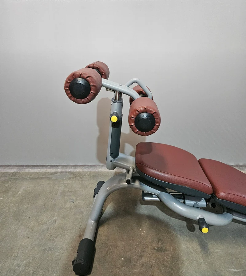 Technogym 2er Set Lower Back Bench und Abdominal Bench - Hyperextension Rückenstreckerbank und verstellbare Bauchbank, Rahmen Silber, gebraucht - überholter Zustand
