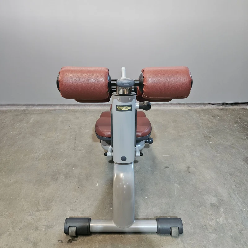 Technogym 2er Set Lower Back Bench und Abdominal Bench - Hyperextension Rückenstreckerbank und verstellbare Bauchbank, Rahmen Silber, gebraucht - überholter Zustand