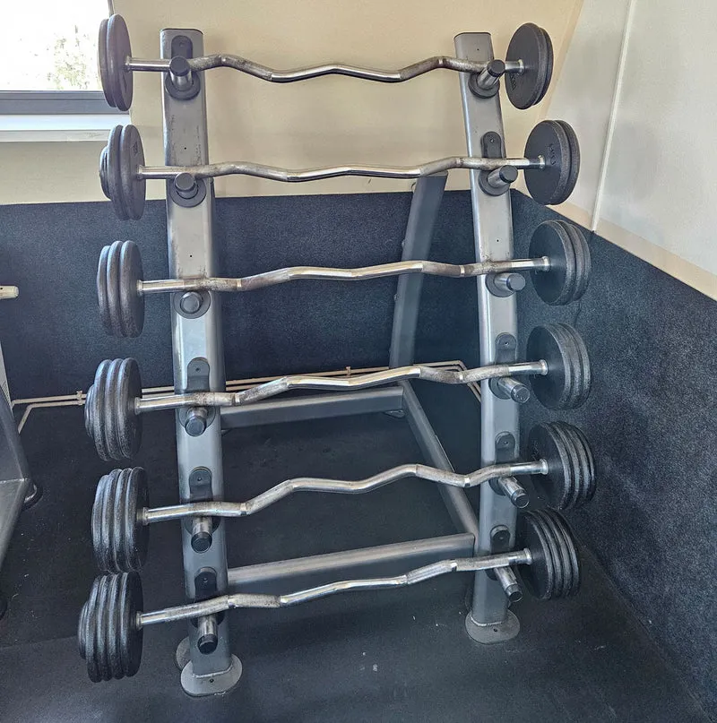 SZ Langhantel Kompakt Set 25kg bis 50kg in 5kg Schritten, 6 Stück gesamt, ähnlich Kurzhanteln mit SZ Stange, inkl. Ständer Elbesport, gebraucht mit Gebrauchsspuren