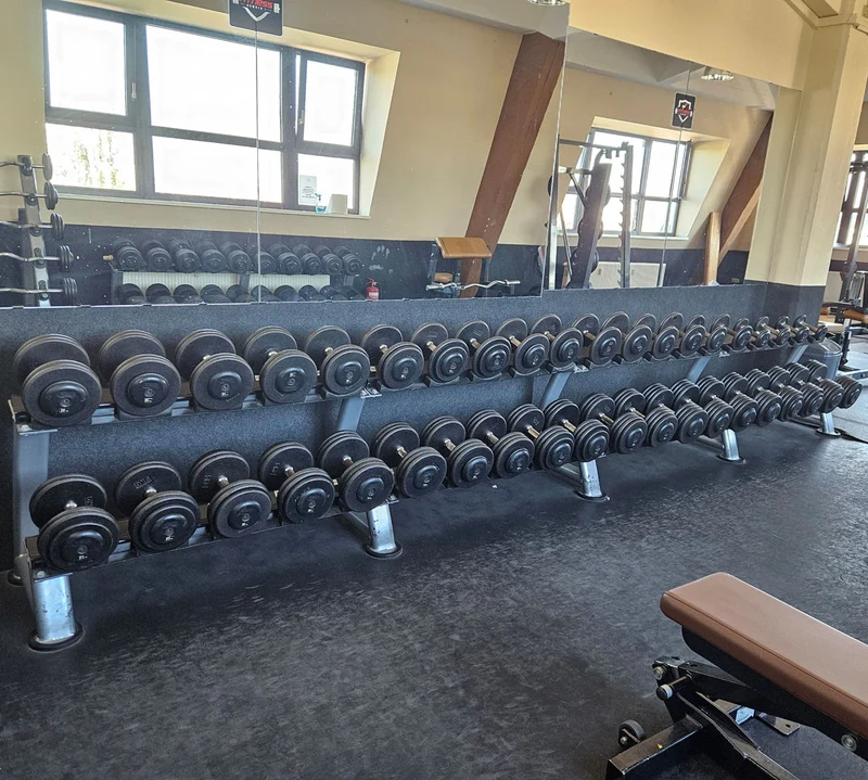 ElbeSport Kurzhantelsatz aus Guss von 2,5 bis 60kg in 2,5kg Stufen ( 24 Paare ) Oldschool, INKLUSIVE Kurzhantelablagen, gebraucht - mit Gebrauchsspuren