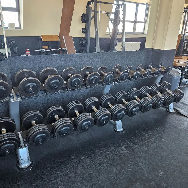 ElbeSport Kurzhantelsatz aus Guss von 2,5 bis 60kg in 2,5kg Stufen ( 24 Paare ) Oldschool, INKLUSIVE Kurzhantelablagen, gebraucht - mit Gebrauchsspuren