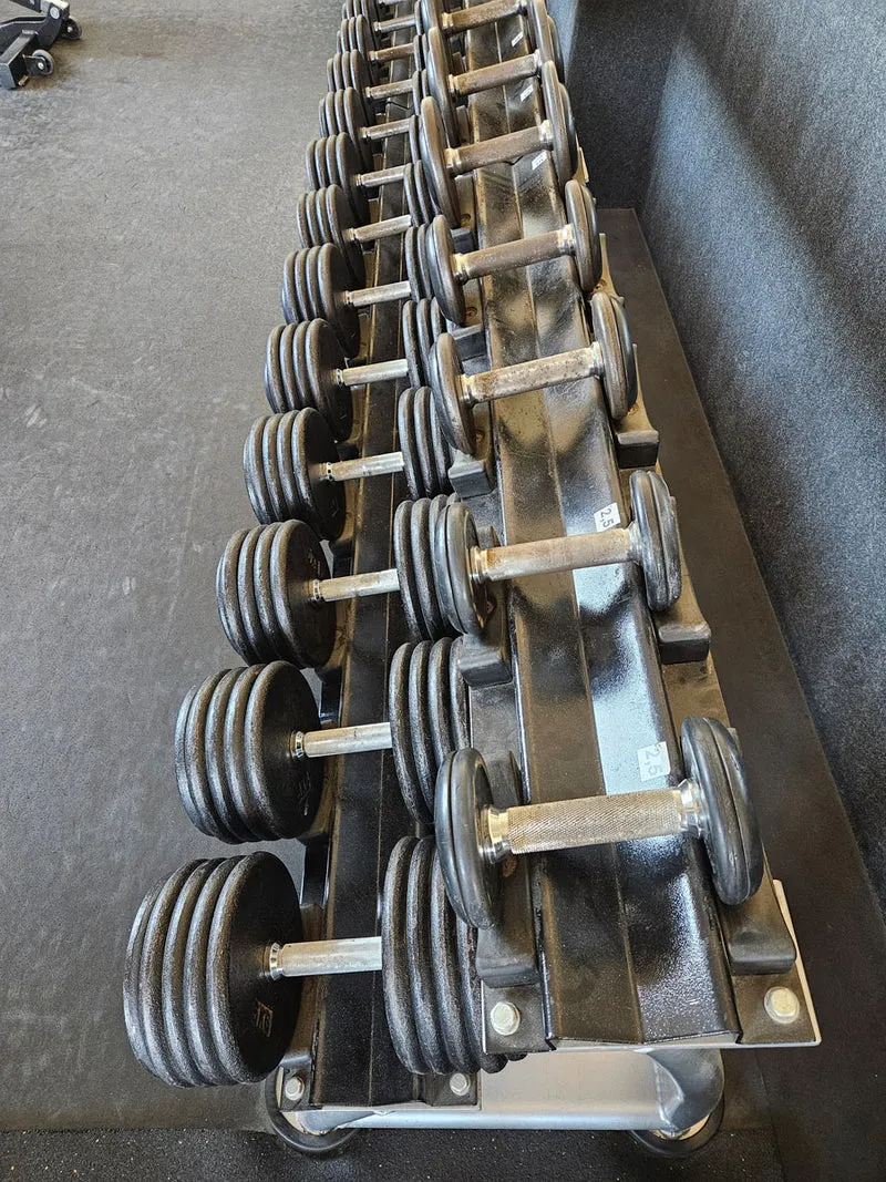 ElbeSport Kurzhantelsatz aus Guss von 2,5 bis 60kg in 2,5kg Stufen ( 24 Paare ) Oldschool, INKLUSIVE Kurzhantelablagen, gebraucht - mit Gebrauchsspuren