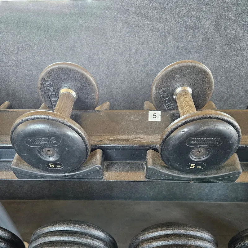 ElbeSport Kurzhantelsatz aus Guss von 2,5 bis 60kg in 2,5kg Stufen ( 24 Paare ) Oldschool, INKLUSIVE Kurzhantelablagen, gebraucht - mit Gebrauchsspuren