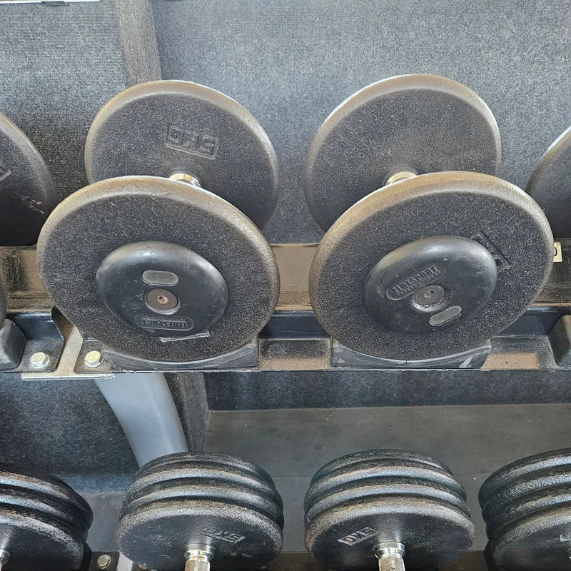 ElbeSport Kurzhantelsatz aus Guss von 2,5 bis 60kg in 2,5kg Stufen ( 24 Paare ) Oldschool, INKLUSIVE Kurzhantelablagen, gebraucht - mit Gebrauchsspuren