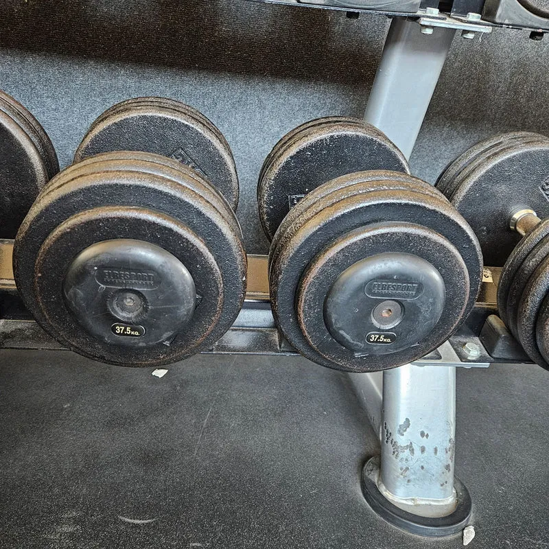 ElbeSport Kurzhantelsatz aus Guss von 2,5 bis 60kg in 2,5kg Stufen ( 24 Paare ) Oldschool, INKLUSIVE Kurzhantelablagen, gebraucht - mit Gebrauchsspuren