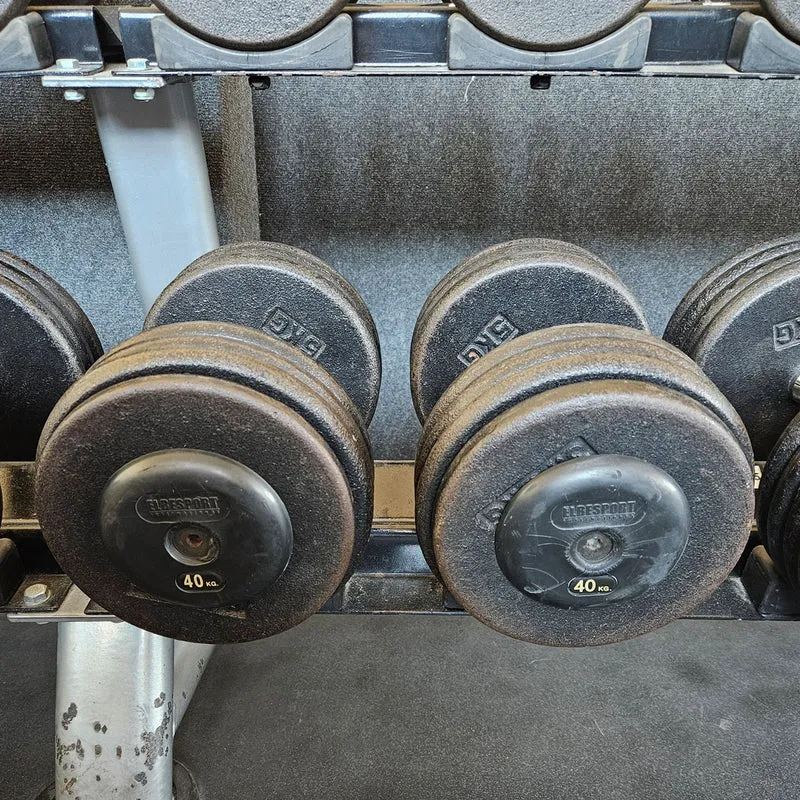 ElbeSport Kurzhantelsatz aus Guss von 2,5 bis 60kg in 2,5kg Stufen ( 24 Paare ) Oldschool, INKLUSIVE Kurzhantelablagen, gebraucht - mit Gebrauchsspuren