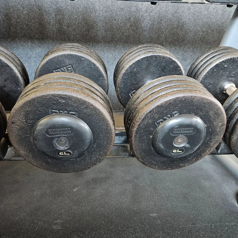 ElbeSport Kurzhantelsatz aus Guss von 2,5 bis 60kg in 2,5kg Stufen ( 24 Paare ) Oldschool, INKLUSIVE Kurzhantelablagen, gebraucht - mit Gebrauchsspuren
