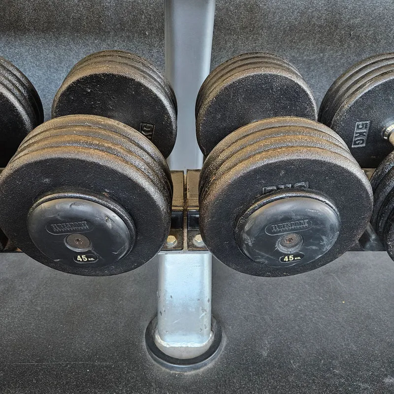 ElbeSport Kurzhantelsatz aus Guss von 2,5 bis 60kg in 2,5kg Stufen ( 24 Paare ) Oldschool, INKLUSIVE Kurzhantelablagen, gebraucht - mit Gebrauchsspuren