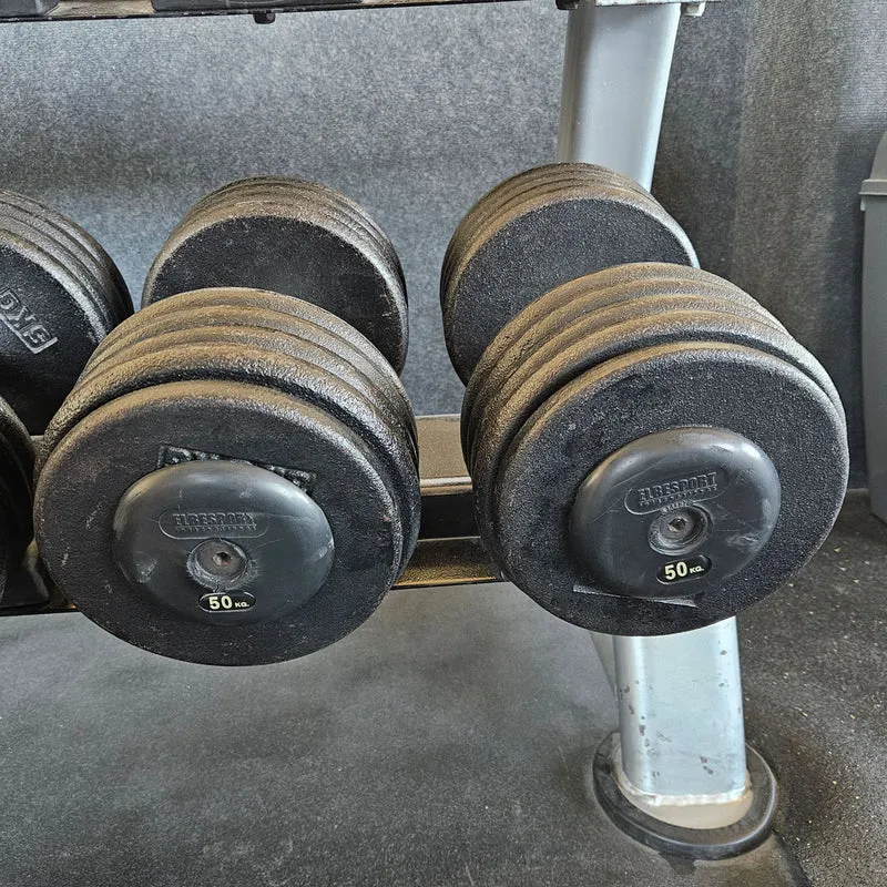 ElbeSport Kurzhantelsatz aus Guss von 2,5 bis 60kg in 2,5kg Stufen ( 24 Paare ) Oldschool, INKLUSIVE Kurzhantelablagen, gebraucht - mit Gebrauchsspuren