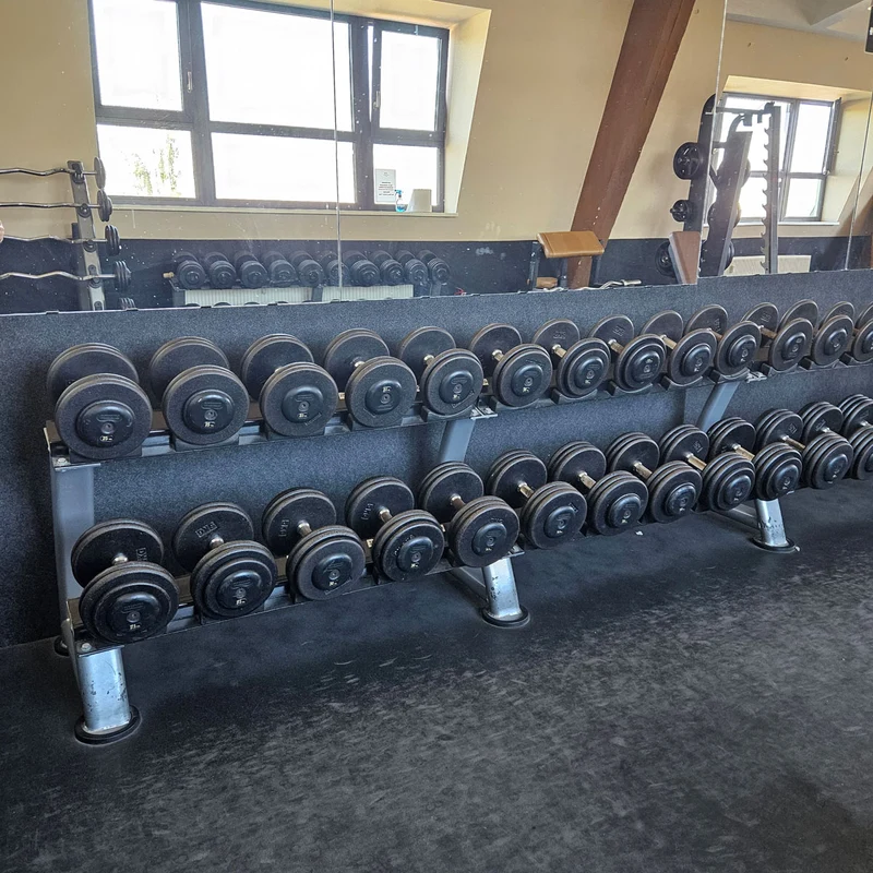 ElbeSport Kurzhantelsatz aus Guss von 2,5 bis 50kg in 2,5kg Stufen ( 20 Paare ) Oldschool, INKLUSIVE Kurzhantelablagen, gebraucht - mit Gebrauchsspuren