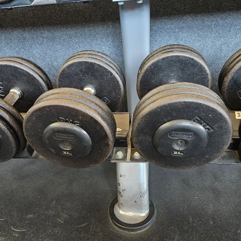 ElbeSport Kurzhantelsatz aus Guss von 2,5 bis 50kg in 2,5kg Stufen ( 20 Paare ) Oldschool, INKLUSIVE Kurzhantelablagen, gebraucht - mit Gebrauchsspuren