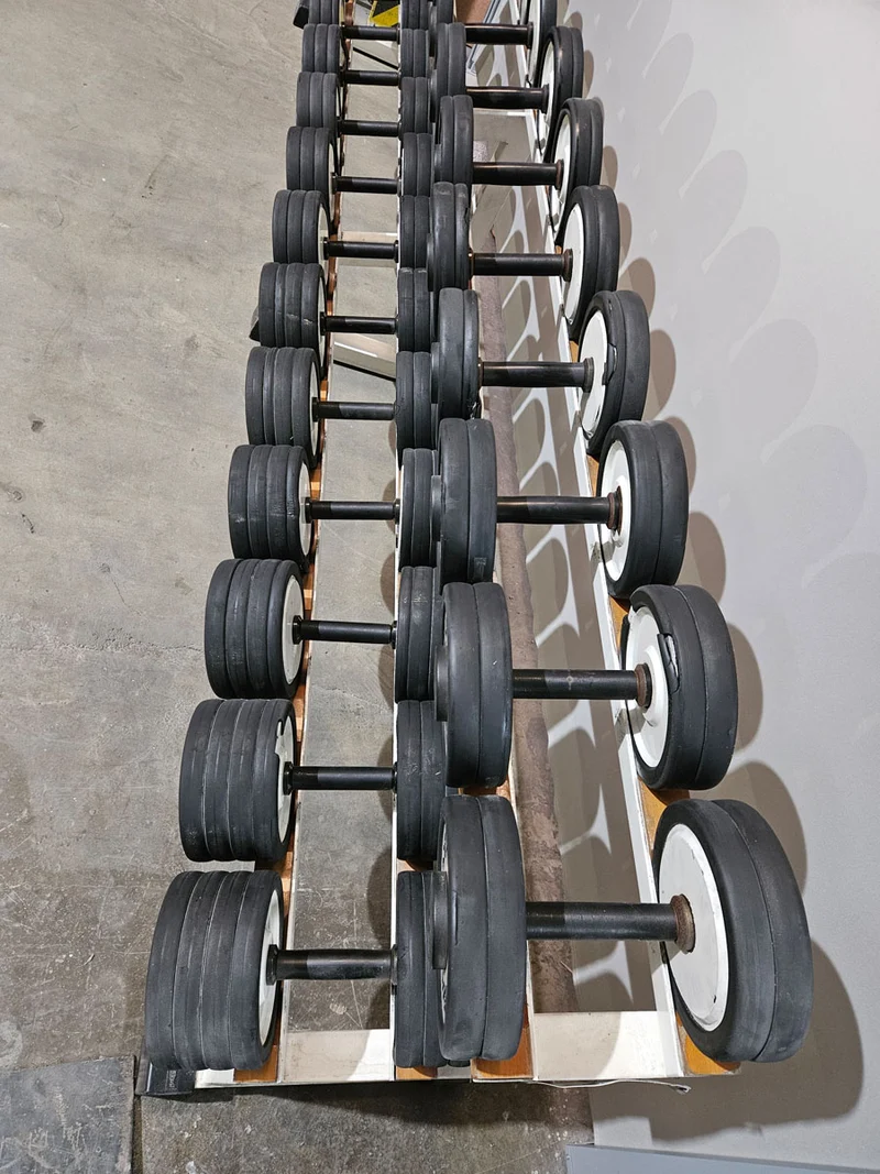 Technogym Kurzhantelsatz aus Guss mit Gummi Außenringen von 4 bis 32kg in 2kg Stufen ( 15 Paare ) Oldschool, Optional mit Kurzhantelablage, gebraucht - mit Gebrauchsspuren