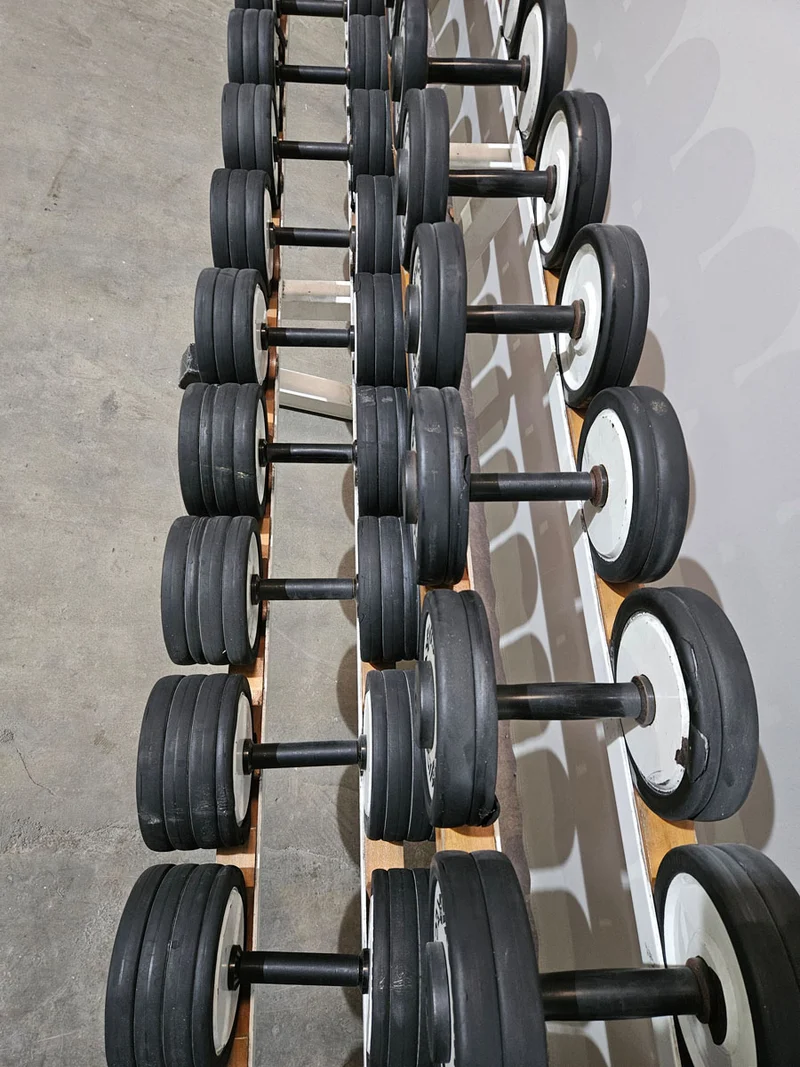 Technogym Kurzhantelsatz aus Guss mit Gummi Außenringen von 4 bis 32kg in 2kg Stufen ( 15 Paare ) Oldschool, Optional mit Kurzhantelablage, gebraucht - mit Gebrauchsspuren