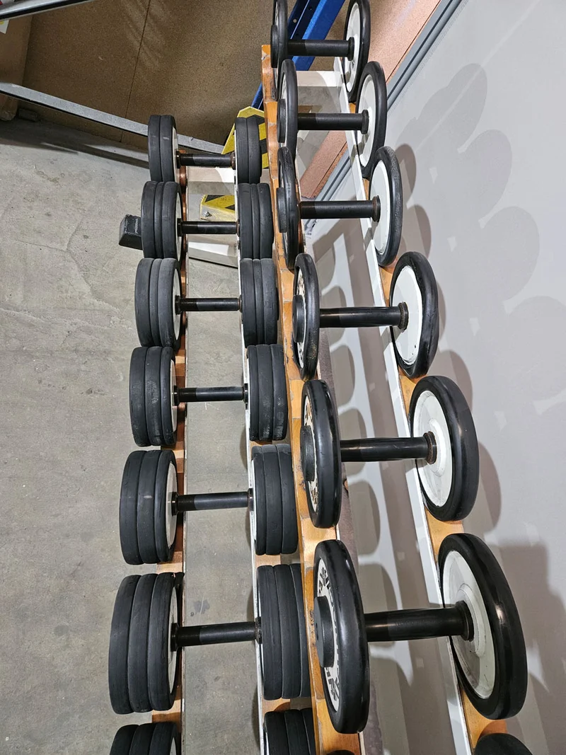Technogym Kurzhantelsatz aus Guss mit Gummi Außenringen von 4 bis 32kg in 2kg Stufen ( 15 Paare ) Oldschool, Optional mit Kurzhantelablage, gebraucht - mit Gebrauchsspuren