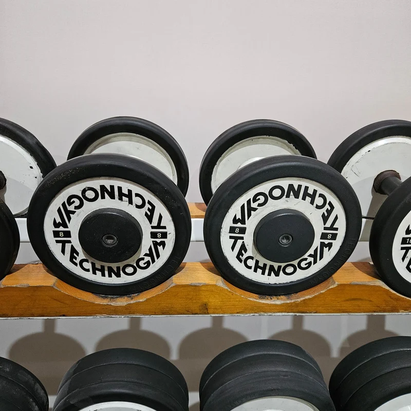 Technogym Kurzhantelsatz aus Guss mit Gummi Außenringen von 4 bis 32kg in 2kg Stufen ( 15 Paare ) Oldschool, Optional mit Kurzhantelablage, gebraucht - mit Gebrauchsspuren