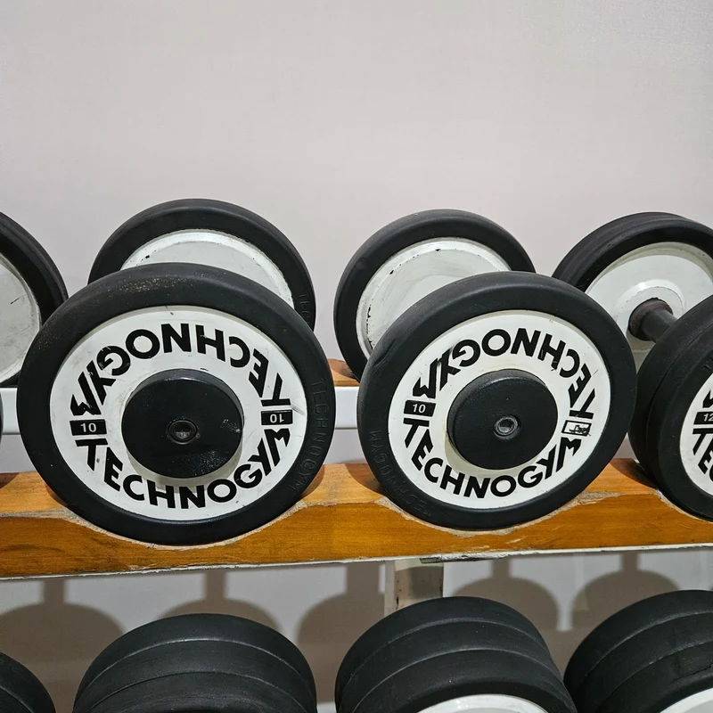 Technogym Kurzhantelsatz aus Guss mit Gummi Außenringen von 4 bis 32kg in 2kg Stufen ( 15 Paare ) Oldschool, Optional mit Kurzhantelablage, gebraucht - mit Gebrauchsspuren