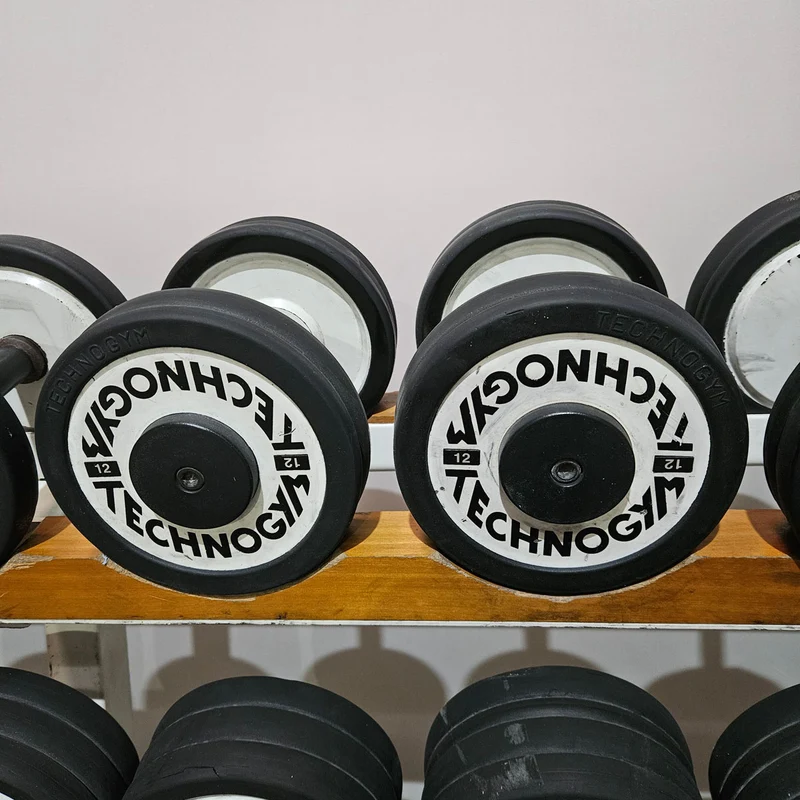 Technogym Kurzhantelsatz aus Guss mit Gummi Außenringen von 4 bis 32kg in 2kg Stufen ( 15 Paare ) Oldschool, Optional mit Kurzhantelablage, gebraucht - mit Gebrauchsspuren