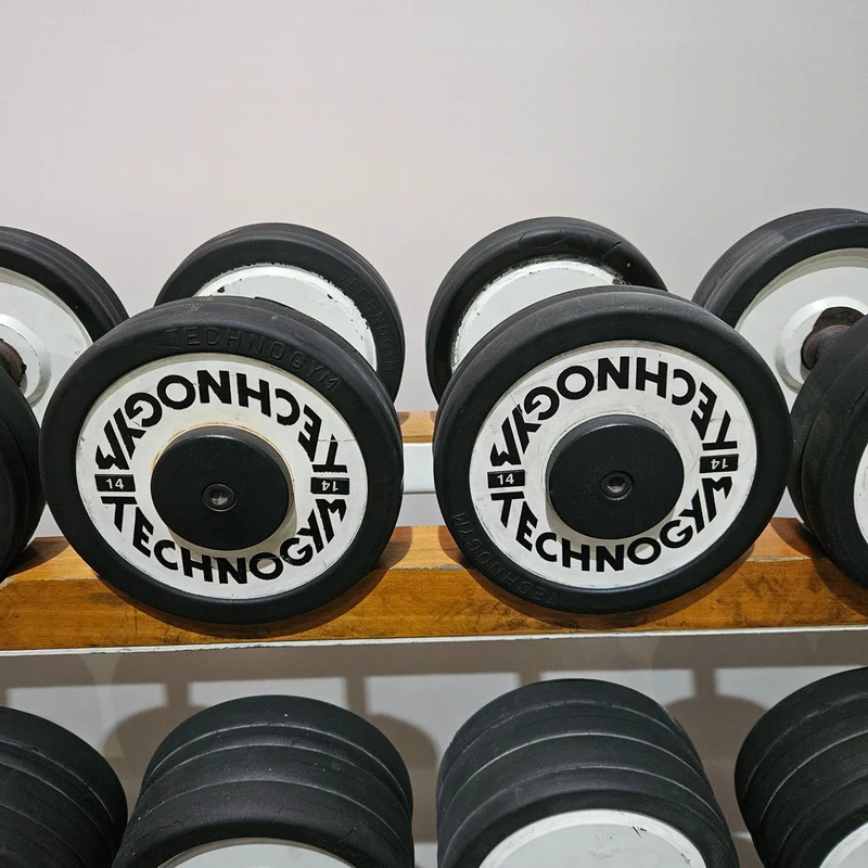 Technogym Kurzhantelsatz aus Guss mit Gummi Außenringen von 4 bis 32kg in 2kg Stufen ( 15 Paare ) Oldschool, Optional mit Kurzhantelablage, gebraucht - mit Gebrauchsspuren