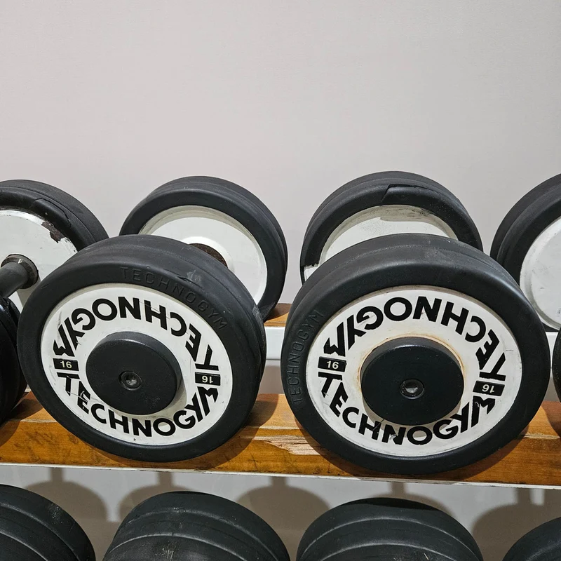 Technogym Kurzhantelsatz aus Guss mit Gummi Außenringen von 4 bis 32kg in 2kg Stufen ( 15 Paare ) Oldschool, Optional mit Kurzhantelablage, gebraucht - mit Gebrauchsspuren