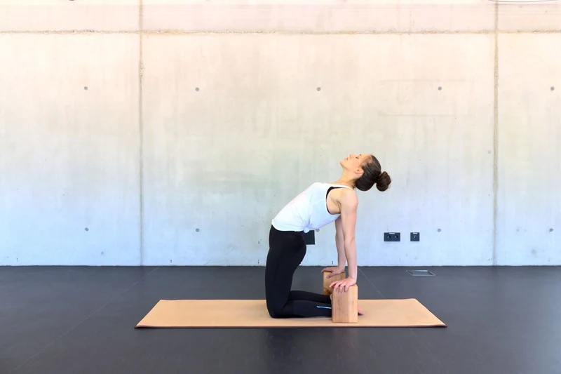 rollholz Yogablock (Set)