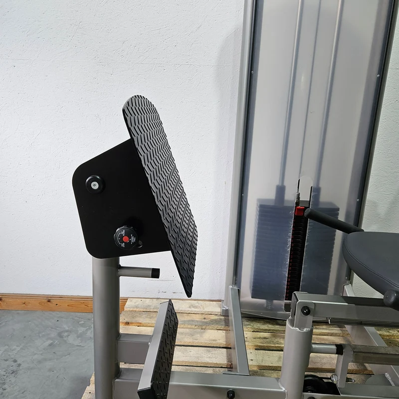 Pego Sport Funktionsstemme Kombi Sitzend-Liegend, Beinpresse verstellbar, Rahmen Silber-Grau, gebraucht - überholter Zustand