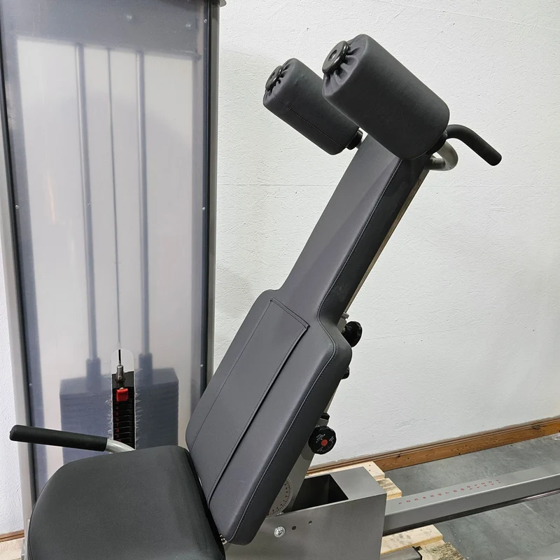 Pego Sport Funktionsstemme Kombi Sitzend-Liegend, Beinpresse verstellbar, Rahmen Silber-Grau, gebraucht - überholter Zustand