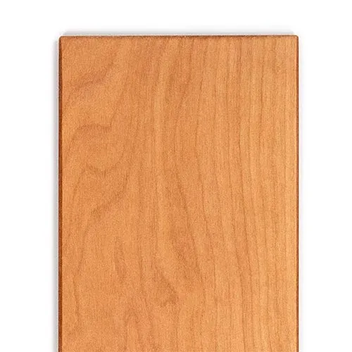 NOHrD Wall Skitrainer MODUL 3