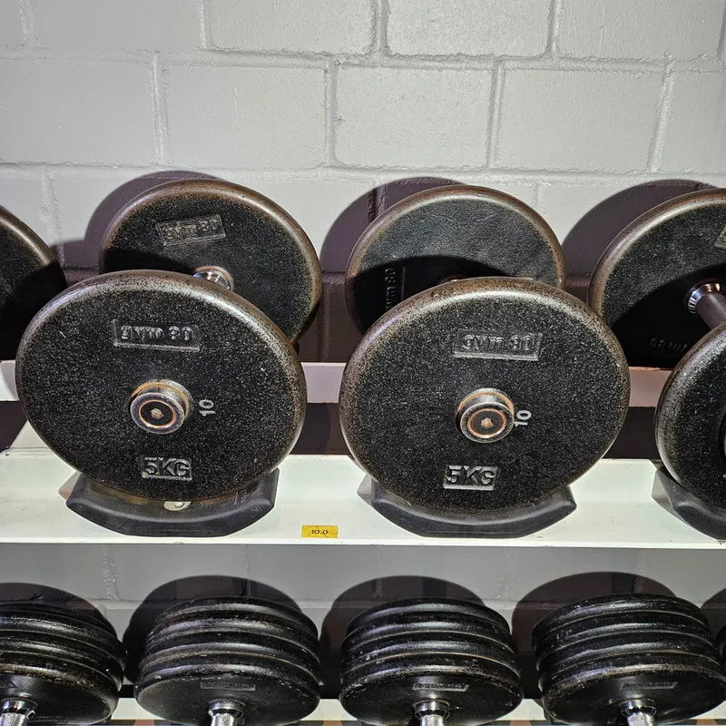 Gym80 Kurzhantelsatz aus Guss von 2,5 bis 40kg in 2,5kg Stufen ( 16 Paare ) Oldschool, Gym80 Kurzhantelablage gegen Aufpreis verfügbar, gebraucht - mit Gebrauchsspuren