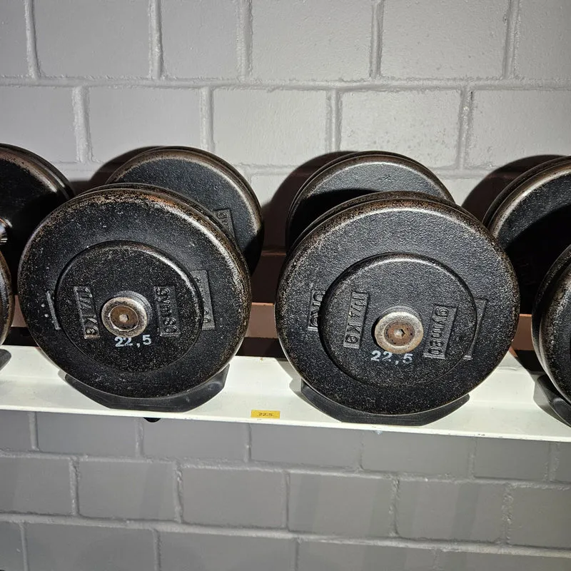 Gym80 Kurzhantelsatz aus Guss von 2,5 bis 40kg in 2,5kg Stufen ( 16 Paare ) Oldschool, Gym80 Kurzhantelablage gegen Aufpreis verfügbar, gebraucht - mit Gebrauchsspuren