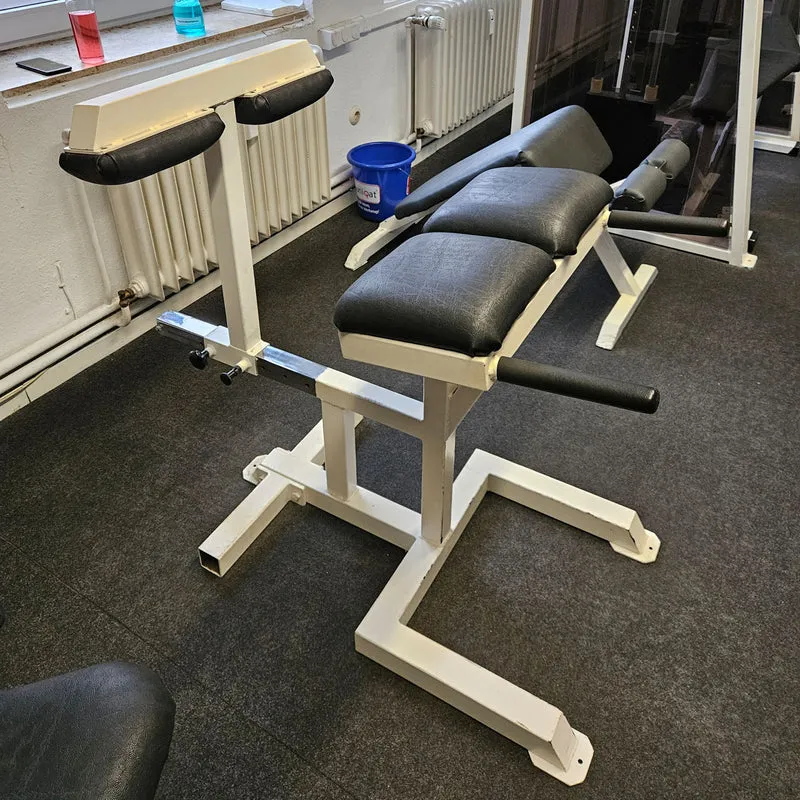 Rückenstreckerbank 90° Hyperextension verstellbar zum training der unteren Rückenmuskulatur, Oldschool Bodybuilding, Rahmenfarbe Weiß, gebraucht und geprüft mit Gebrauchsspuren