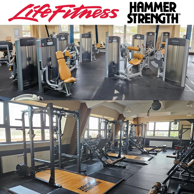 Life Fitness & Hammer Strength - 95 Fitnessgeräte - 105 Stationen, Kraftgeräte, Cardiogeräte, Plate loaded Geräte, Bänke etc - komplettes Fitnessstudio - gebraucht, überholter TOP Zustand