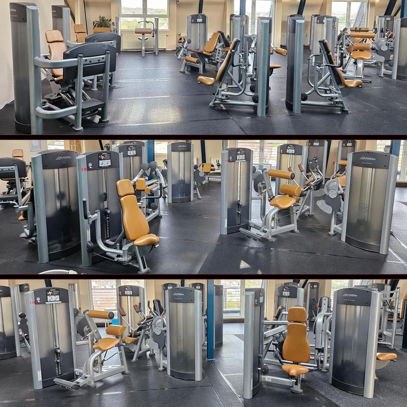 Life Fitness & Hammer Strength - 95 Fitnessgeräte - 105 Stationen, Kraftgeräte, Cardiogeräte, Plate loaded Geräte, Bänke etc - komplettes Fitnessstudio - gebraucht, überholter TOP Zustand