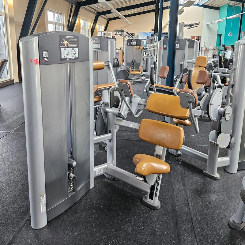 Life Fitness & Hammer Strength - 95 Fitnessgeräte - 105 Stationen, Kraftgeräte, Cardiogeräte, Plate loaded Geräte, Bänke etc - komplettes Fitnessstudio - gebraucht, überholter TOP Zustand