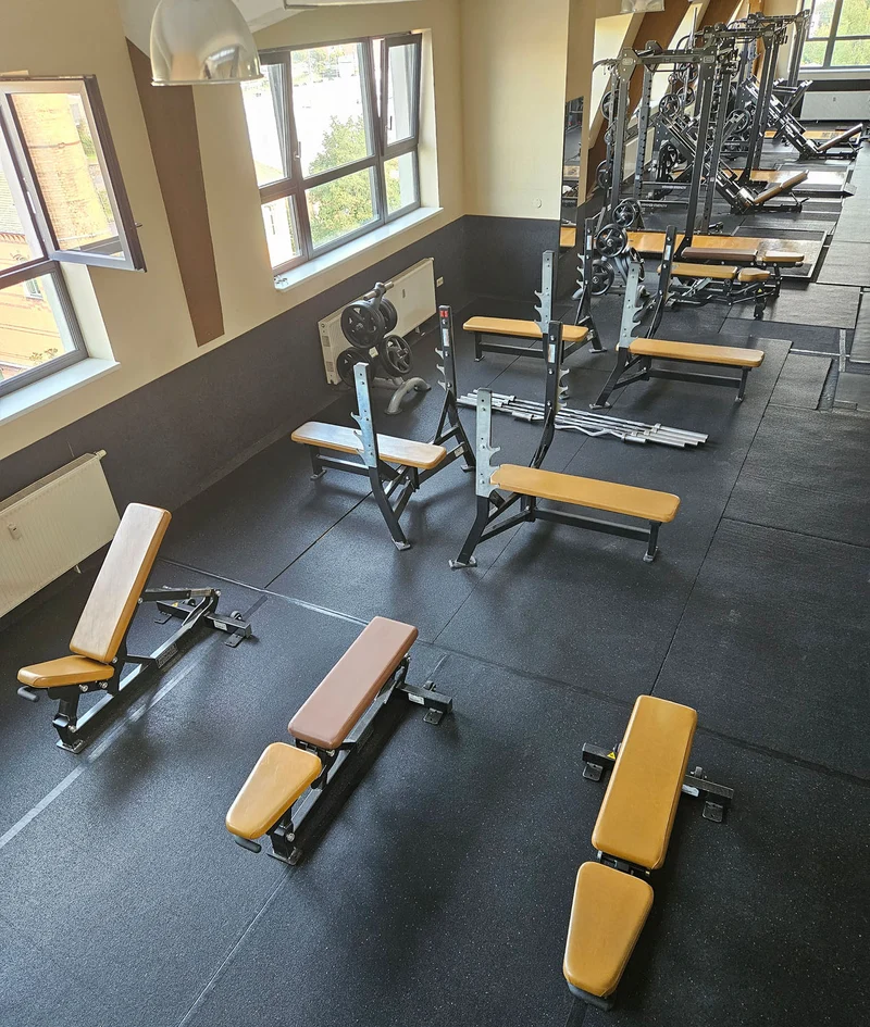 Life Fitness & Hammer Strength - 95 Fitnessgeräte - 105 Stationen, Kraftgeräte, Cardiogeräte, Plate loaded Geräte, Bänke etc - komplettes Fitnessstudio - gebraucht, überholter TOP Zustand