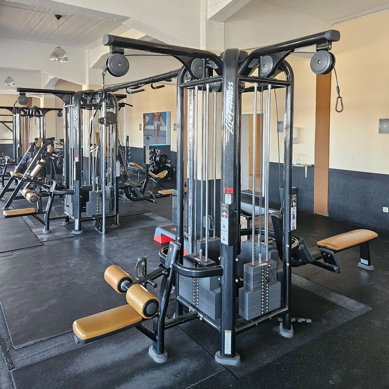 Life Fitness & Hammer Strength - 95 Fitnessgeräte - 105 Stationen, Kraftgeräte, Cardiogeräte, Plate loaded Geräte, Bänke etc - komplettes Fitnessstudio - gebraucht, überholter TOP Zustand